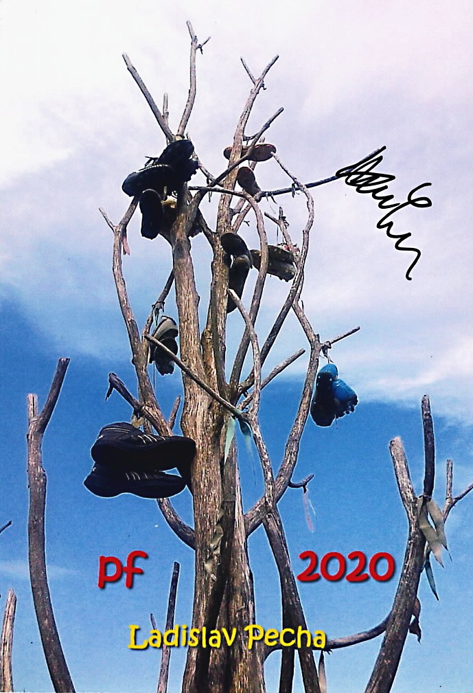 pecha-pf2020.jpg