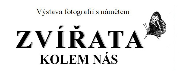 zviratat-titul-foto.jpg