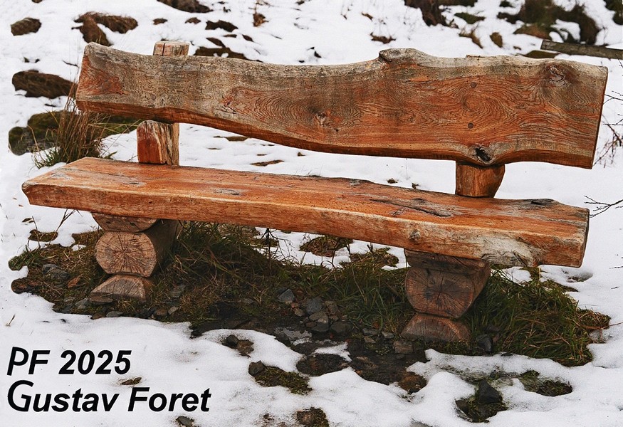 pf2025-foret-g_red50-100dpi.jpg