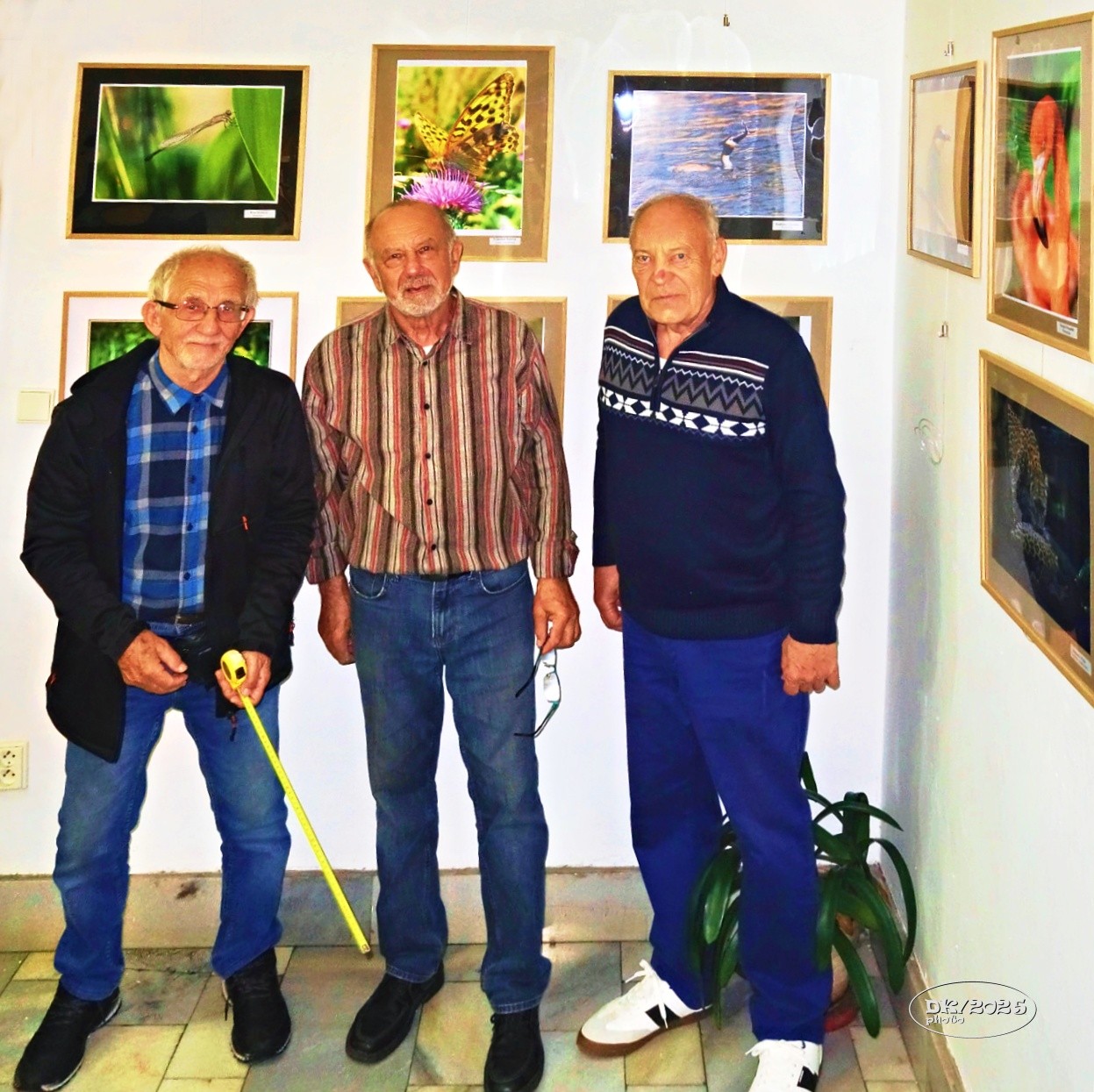 dsc08477web.jpg