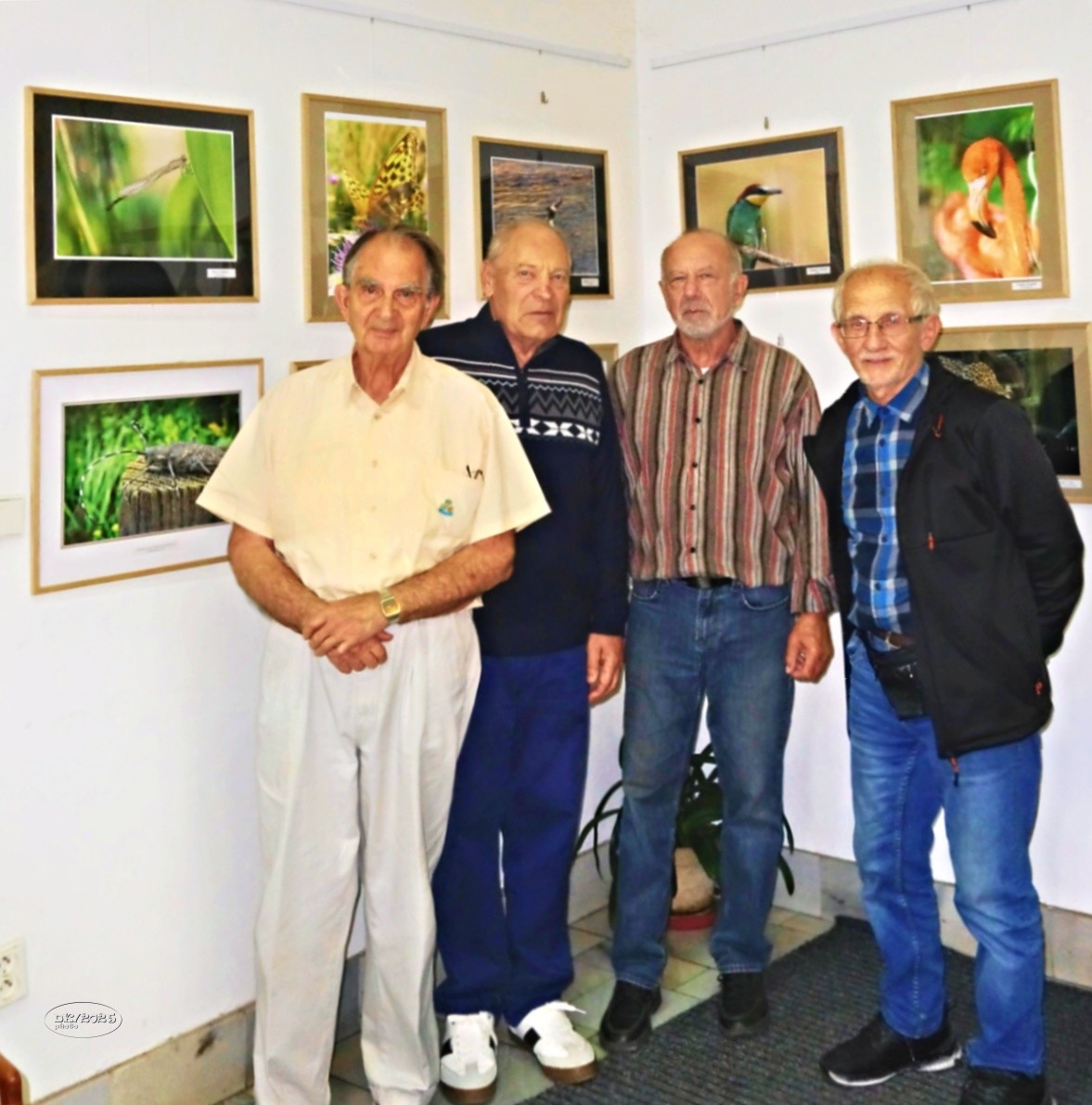 dsc08479web.jpg