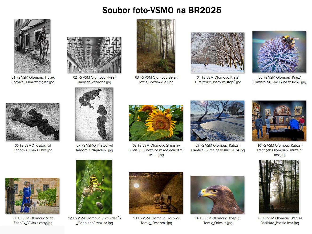 soubor-foto-vsmo-na-br2025-nahledy.jpg