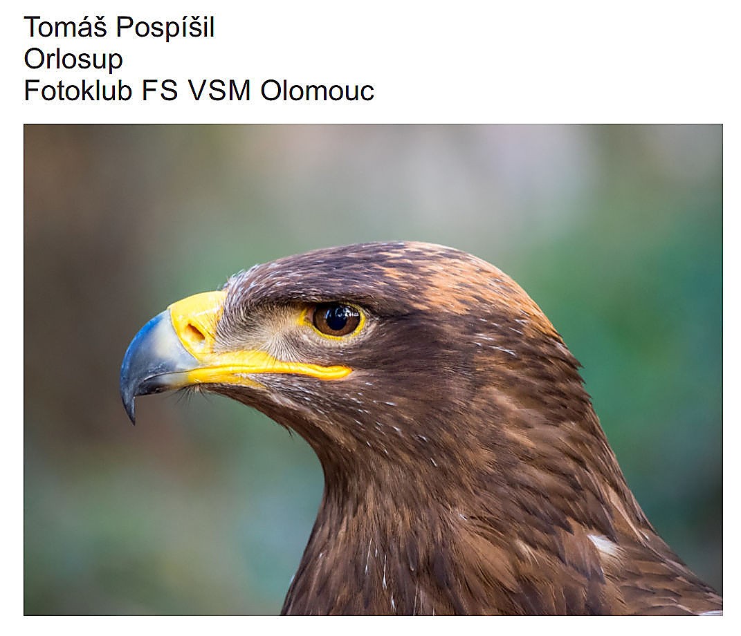 tomas-pospisil-orlosup.jpg