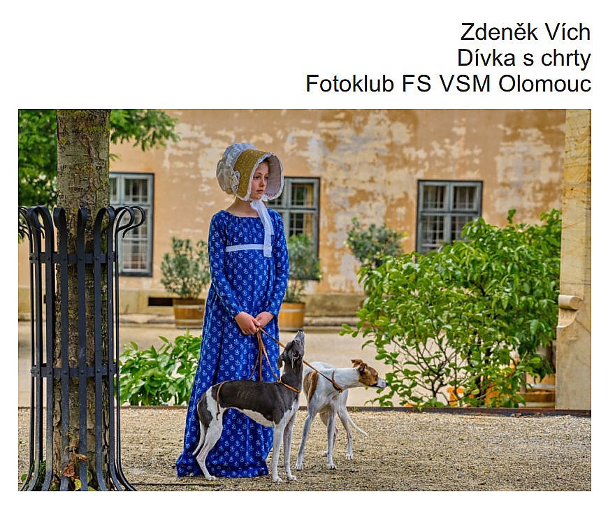 zdenek-vich-divka-s-chrty.jpg