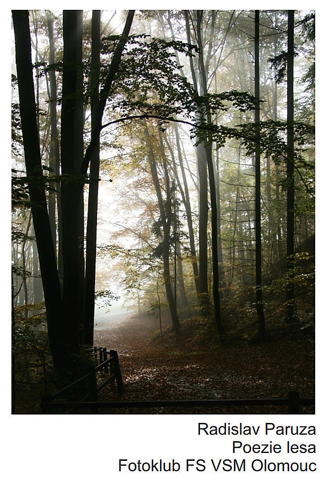 radislav-paruza-poezie-lesa.jpg